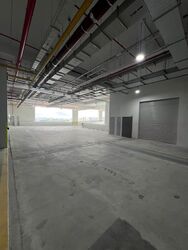 Ct Foodnex (D25), Factory #598608161